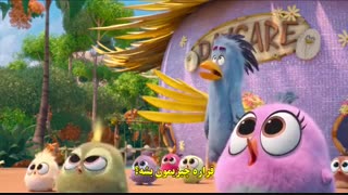 دانلود زیرنویس فارسی انیمیشن پرندگان خشمگین - The Angry Birds Movie 2 2019  با زیرنویس فارسی چسبیده FILM7_MEDIA@