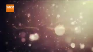 مداحی ویژه شهادت امام رضا (ع) با نوای محمود کریمی