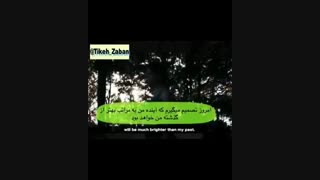 از امروز کارگردان زندگی خودت باش