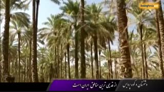 شهر زیبای دشتستان و کوه شگفت انگیز پردیس در بوشهر - بوکینگ پرشیا