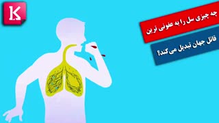 چه چیزی سل را به عفونی ترین قاتل جهان تبدیل می‌کند؟