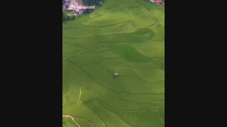 لاهیجان..عروس گیلان