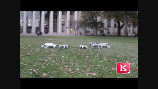 تفریح رباتیک دانشجویان دانشکده مکانیک ام آی تی MIT را ببینید