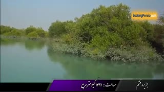 جزیره قشم بزرگترین جزیره خلیج فارس با مردمی خونگرم - بوکینگ پرشیا