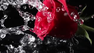 آشنایی با دوربین کانن 5 دی مارک 4،اجاره و فروش دوربینهای عکاسی و فیلمبرداری