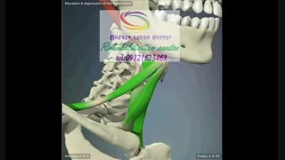 بهترین مرکز تصویربرداری حنجره در البرز  09121623463