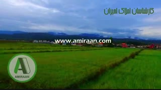 خرید ویلا در چمستان | خرید ویلای جنگلی | خرید ویلای شهرکی | املاک امیران