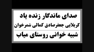 کربلایی جعفرصادق کمالی میاب بلیچینگ
