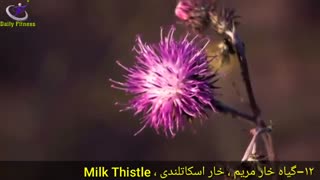 درمان کبد چرب با این روش ساده