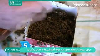 چگونگی پرورش قارچ خوراکی در منزل