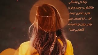 رمان دارم دیر می شوم | هانیه پروین