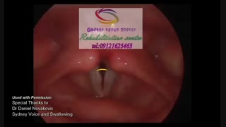 منتخب مراکز تخصصی گفتاردرمانی 09121623463 | شهرک ولنجک فرعی یاسمن۴