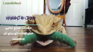 مارمولک خزنده ای عجیب