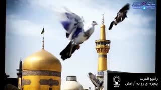 دلنوشته امام رضا(ع)- مولای غریبم سلام