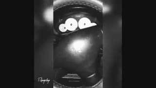 ریمپ پژو 206 تیپ 1 ♥ ساژم S2000-35