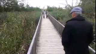 ستمگر محسن چاوشی_Mohsen Chavoshi Setamgar