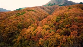 Miki Imai-“You can remain as you are”  /  JPOP