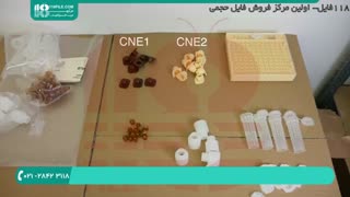 نگاهی به سیستم پرورش ملکه زنبور عسل نایکوت