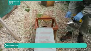 آموزش زنبورداری آموزش انتقال کندو