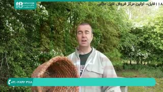 آموزش زنبورداری و پرورش زنبور عسل