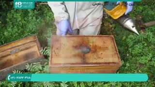 آموزش زنبورداری مدرن | wWw.118file.com
