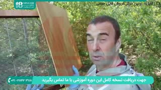 آموزش زنبورداری پرورش ملکه زنبور عسل قسمت 2