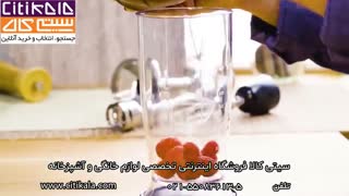 گوشت کوب برقی میله ای حرفه ای پیشرفته گاستروبک مدل 40976- سیتی کالا