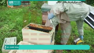 طریقه زنبورداری و پرورش زنبورعسل بصورت فیلم