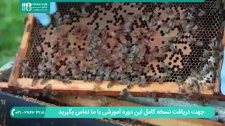 مدرن ترین روشهای زنبورداری در www.118file.com