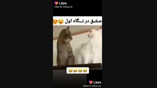 نگاه چه قشنگ عاشق شدن