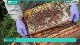 آموزش زنبورداری پیشرفته | 118فایل