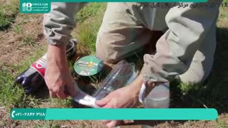 ترفندهای زنبورداری | ساخت تله برای زنبورعسل وحشی