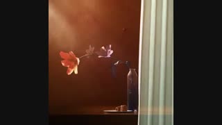 موزیک ویدیوی 'Bruise(멍)' از PERC%NT