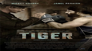 ببر-Tiger