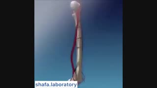 برای کمبود ویتامین D چه باید کرد؟