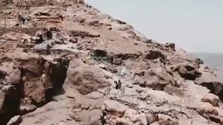 سفر به عربستان ، موسسه مهاجرت تحصیلی | go2tr