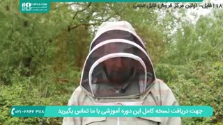 آموزش زنبورداری - کلونی سلول ساز